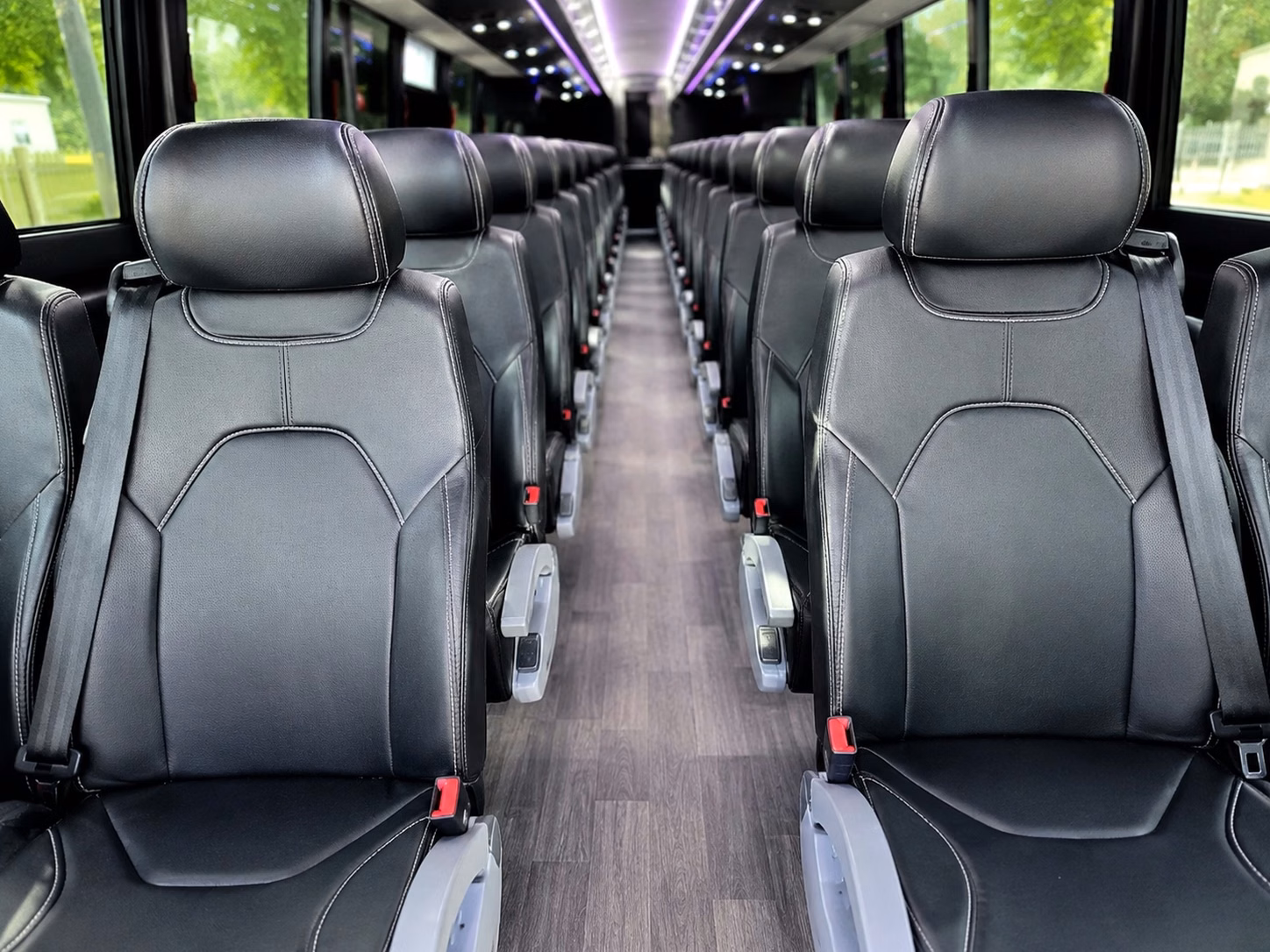 seneca park zoo field trips are easy with rochester charter bus transportation